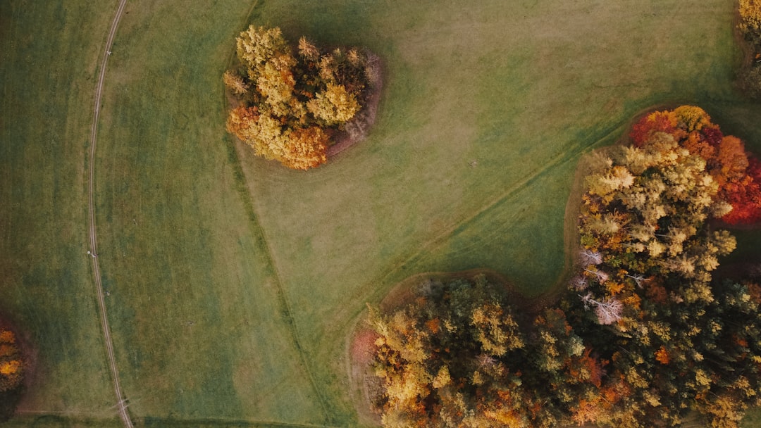 Ayam Geprek Sambel Kemangi