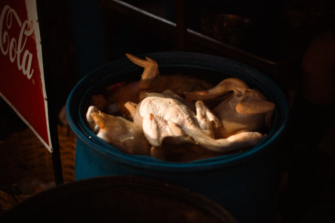 Cara Masak Sop Tulang Sapi Biar Empuk