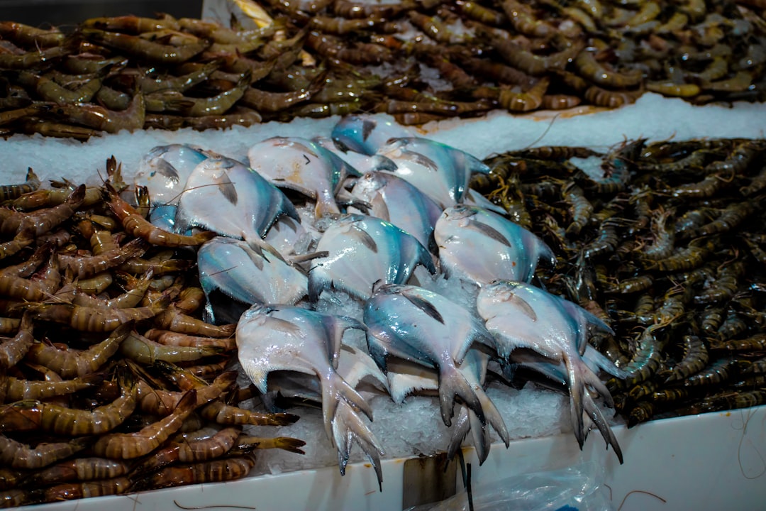 Muara Karang Seafood